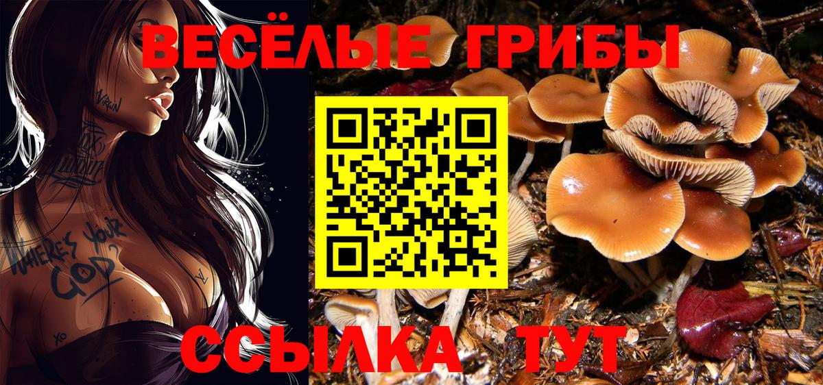 Псилоцибиновые грибы Psilocybe  Псилоцибиновые грибы Cubensis  Красноперекопск  Вход с VPN 