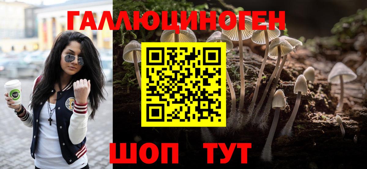 Галлюциногенные грибы прущие грибы Красноперекопск